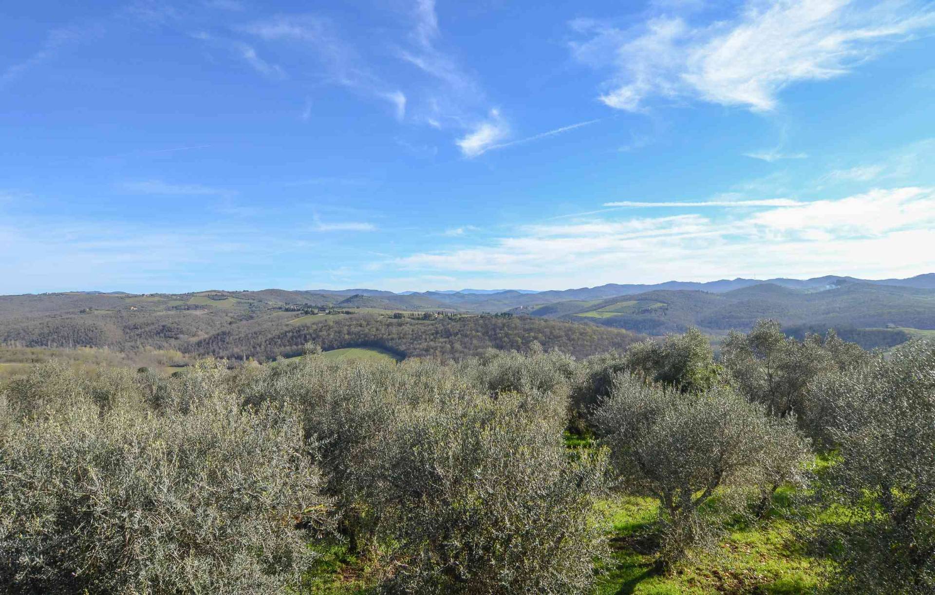 Casale in vendita a Castelnuovo Berardenga